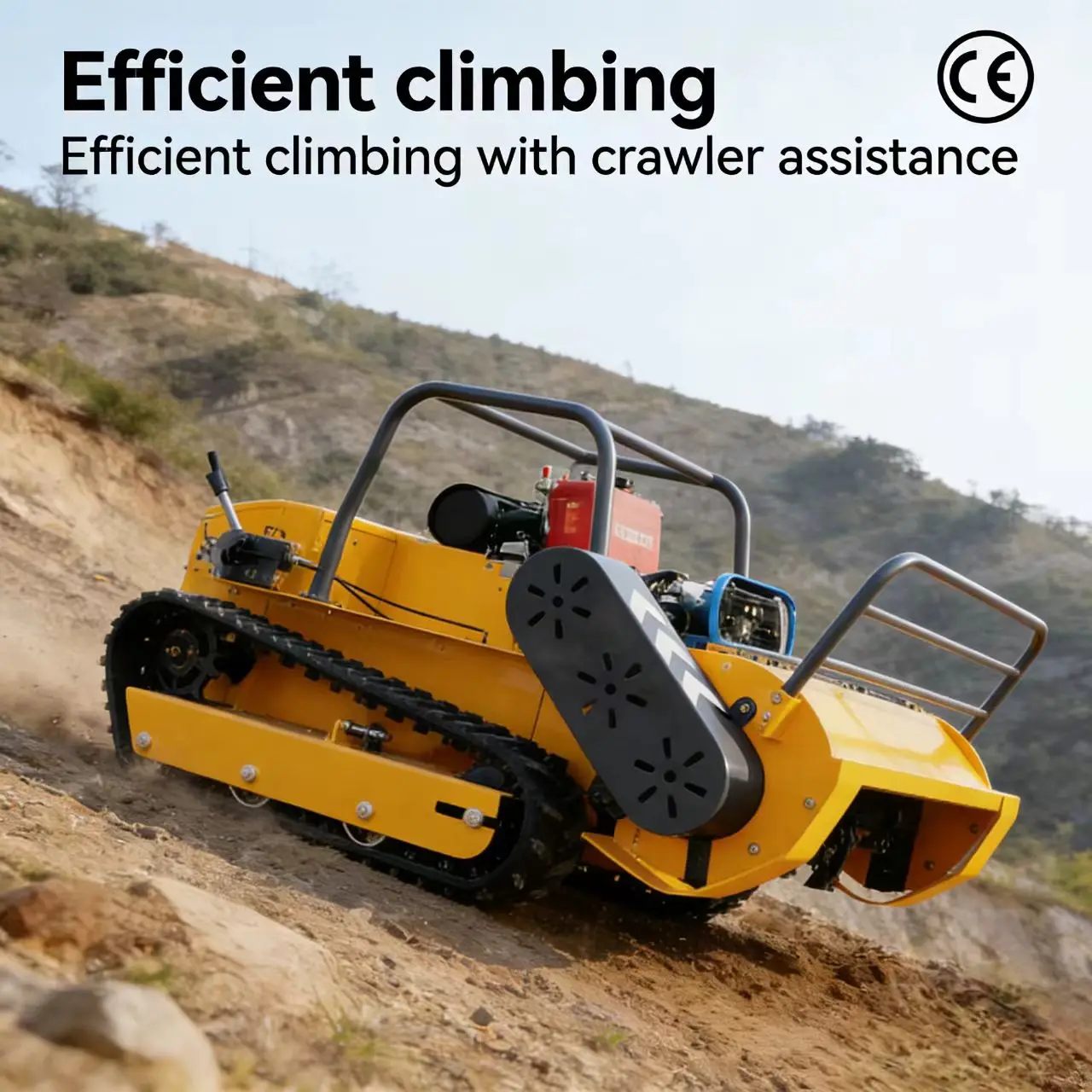 Customized Courtyar…