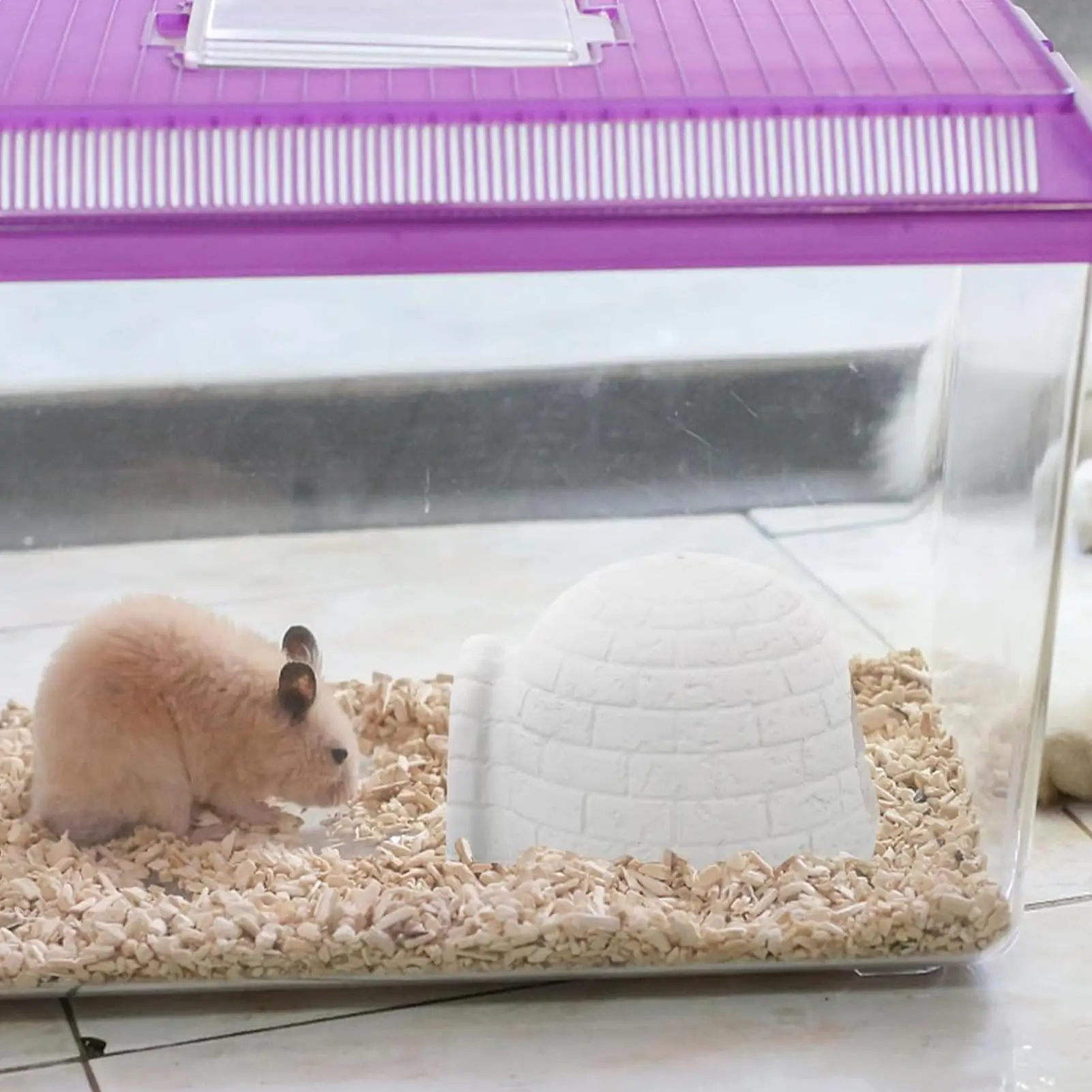 

Охлаждающий домик из смолы для хомяков, летний домик для хомяков-сахарных мышей и шиншилл для владельцев животных, любителей животных, детей, подростков, взрослых и зоологов