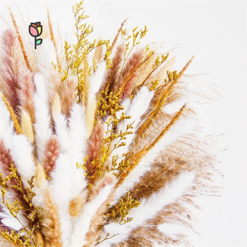 80pcs Dry Plant Pampas Grass Bouquet Bohemian Style Home Decoration Natural Fluffy Lagurus Ovatus Wedding DIY Table Decorations