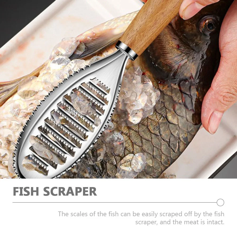 

Stainless Steel Fish Scale Cleaner Fast Remove Scales Intact Meat Simple Design Portable Kitchen Tool Safe Convenient