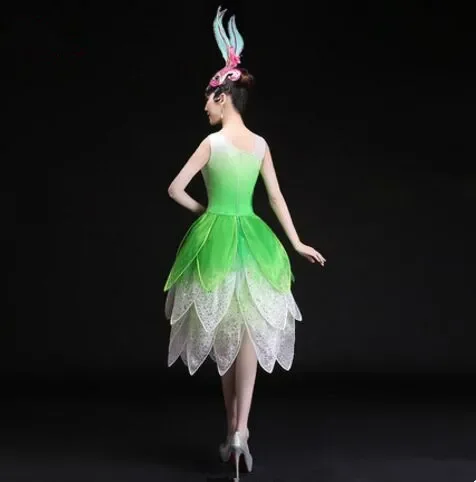 Vrouwen Bloem Dansjurk Kleurrijke Dance Festival Dance Dress New Year Performance Kleding Chinese Nationale Dans Jurk