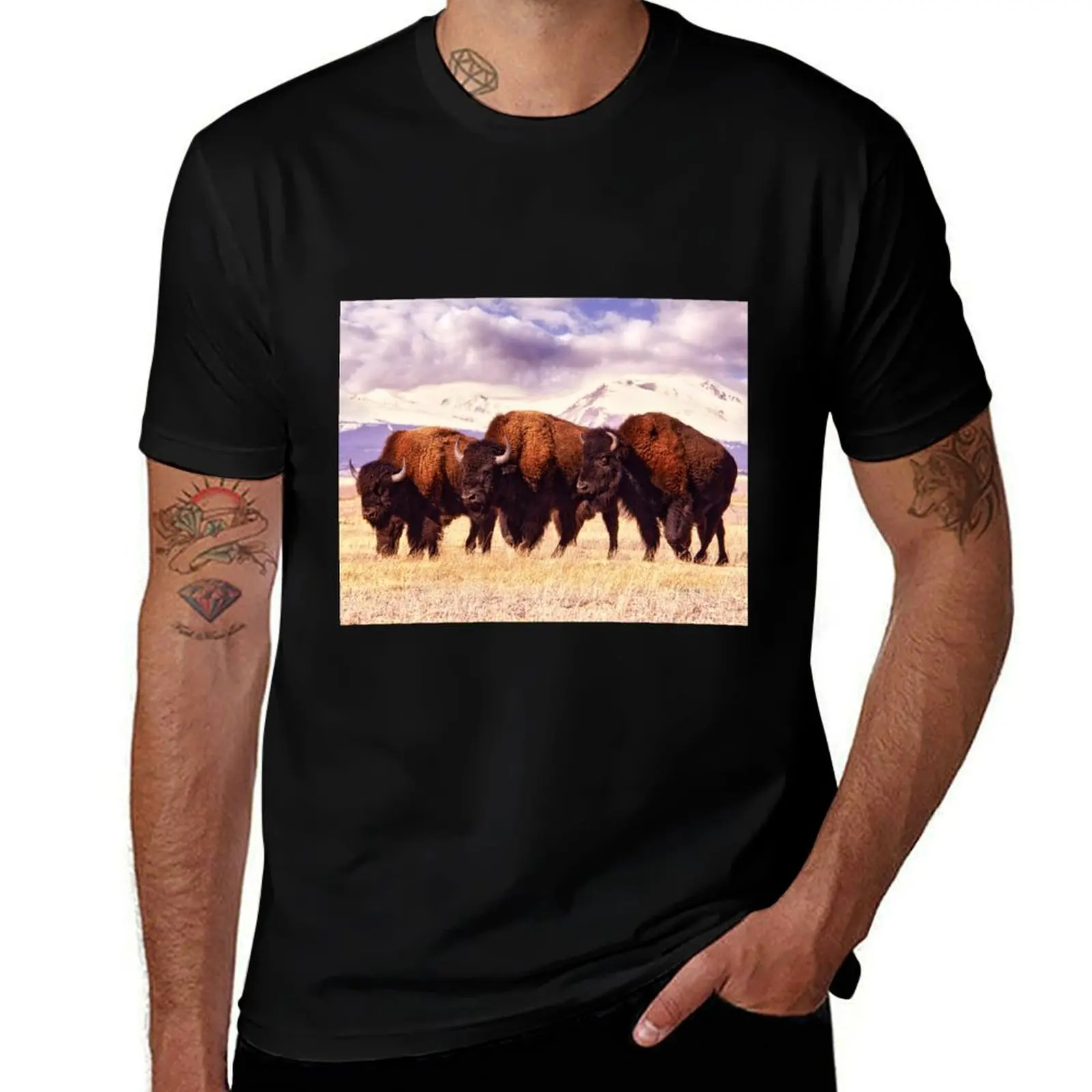 Three Bison are Grazing in a Field in Colorado, Surrounded by Mountains Covered in Snow T-Shirt