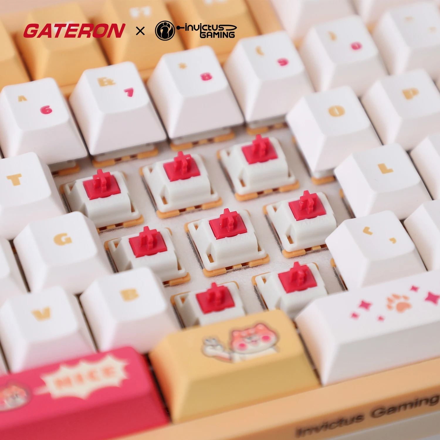 GATERON IG 98 Tastiera meccanica personalizzata co-branded