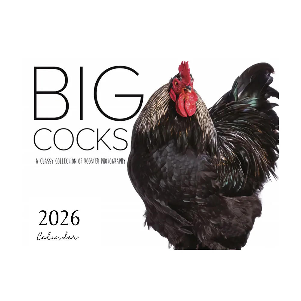 Divertente calendario 2026 Big Cocks, fotografia vibrante della fauna selvatica, calendario da parete da 12 mesi, decorazione per ufficio e casa