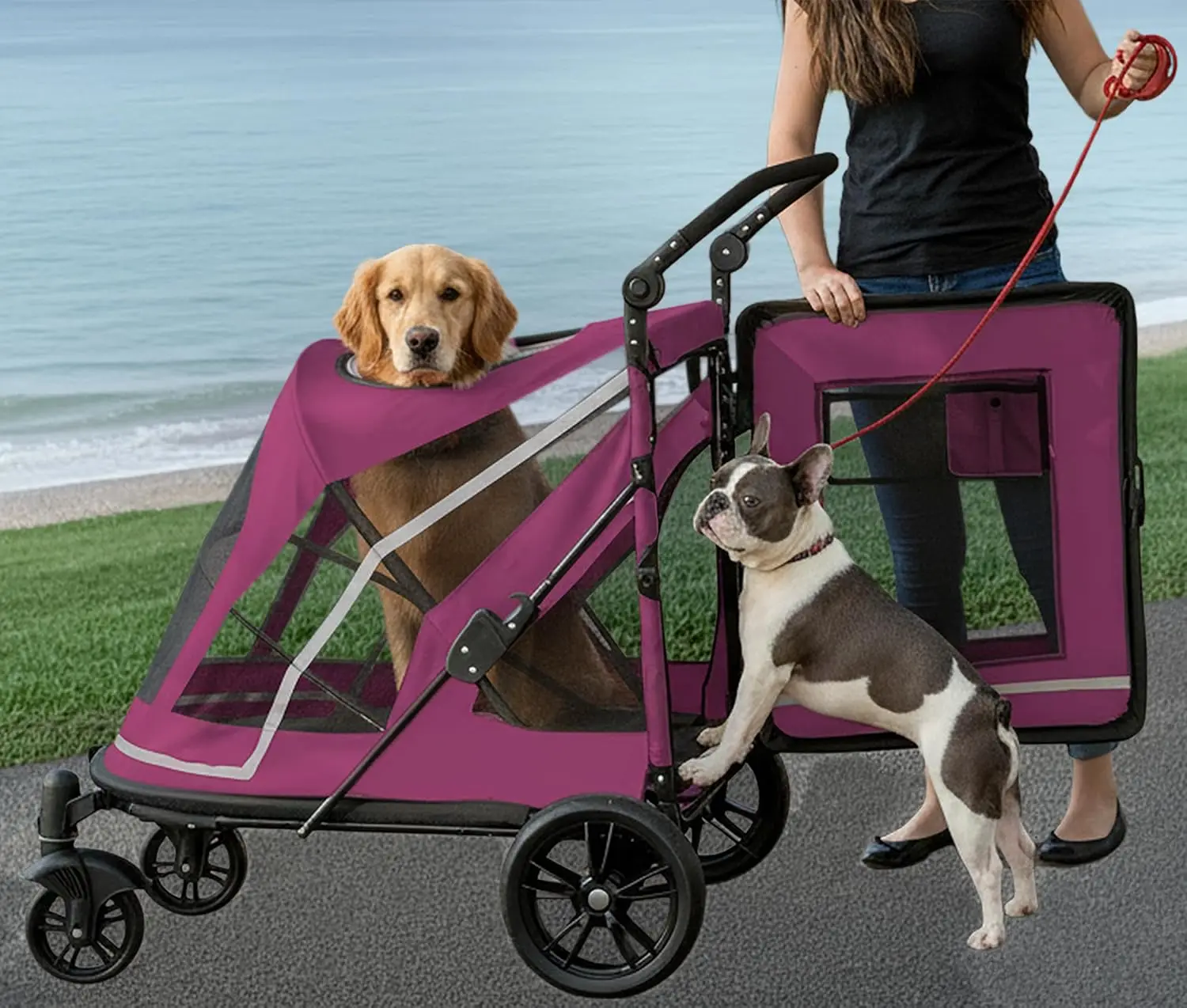 Carrito para Mascotas sin Cierre, Doble Entrada para Perros y Gatos, Fácil de Entrar/Salir, Llantas de Gel, Color Lila Oscuro