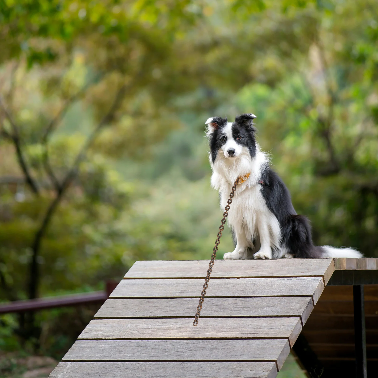 

Fake Big Dog Chain Plastic Realistic Halloween Prop for Large Dogs Outdoor Decorative Chain Costume Accessory Pirate Party
