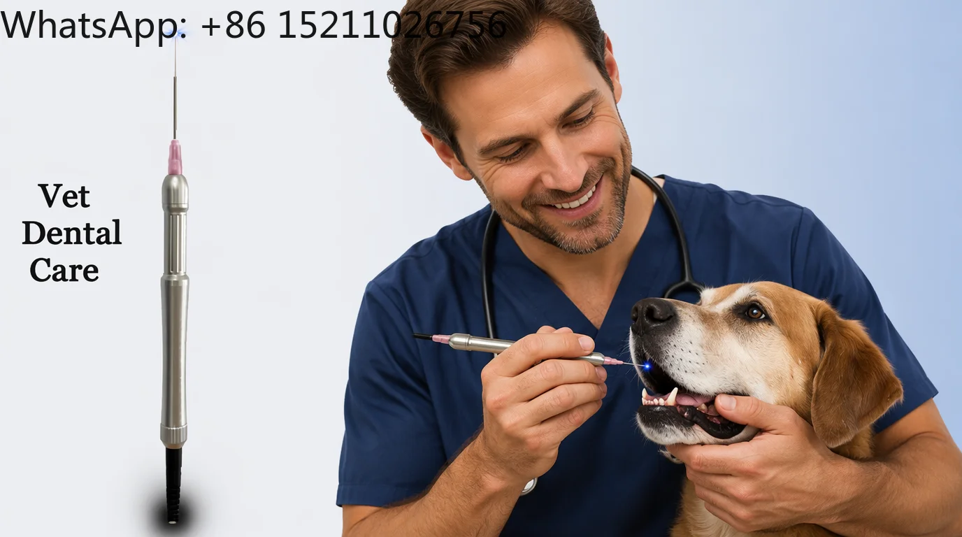 VT101 Portable Steel Electric Diode- 980nm 15W/30W Endoscope ENT Veterinary Use CE Certified