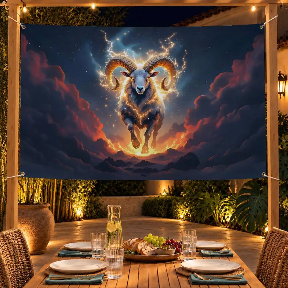 Aesthetic Zodiac Aries Indoor Outdoor Flag Banner Party Decor Hanging Wall Backdrop