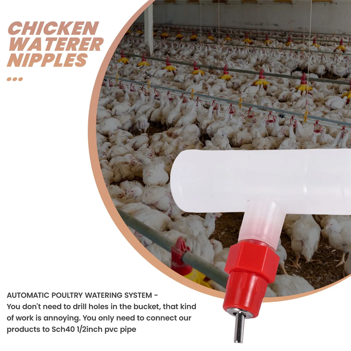 Accesorios en T para pezones de pollo, kit de bebederos para aves de corral completamente automático, bebedero de agua para pollos, paquete de 10