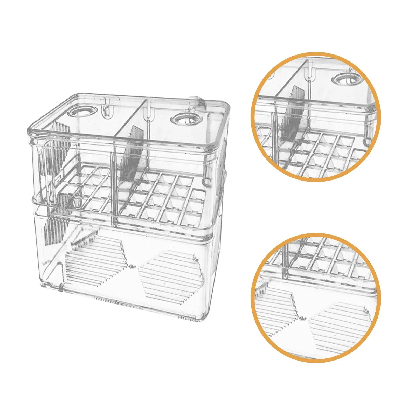 Scatola per allevamento di pesci d'acquario Scatola trasparente per isolamento di pesci per pesci pagliaccio Betta Guppy