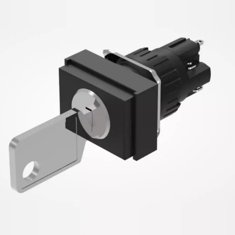 

Brand New Genuine Key Switch 51-295.025D2