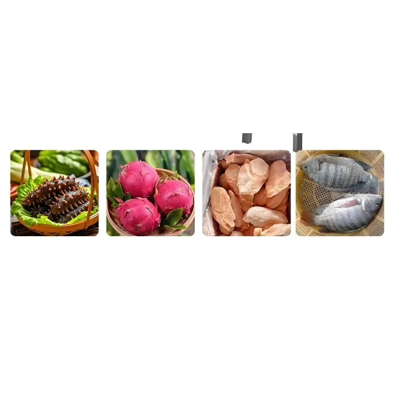 Full Automatic Weight Sorting Grader for Scallop Chicken Seafood Fruit & Vegetables
