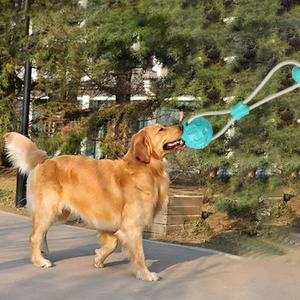 Dog Rope Toy Teeth Dog Toy Suction Cup Dog Chew Toy for Small Dogs Rope Ball Puzzle Tug of War Teeth Molar Bite for Pets