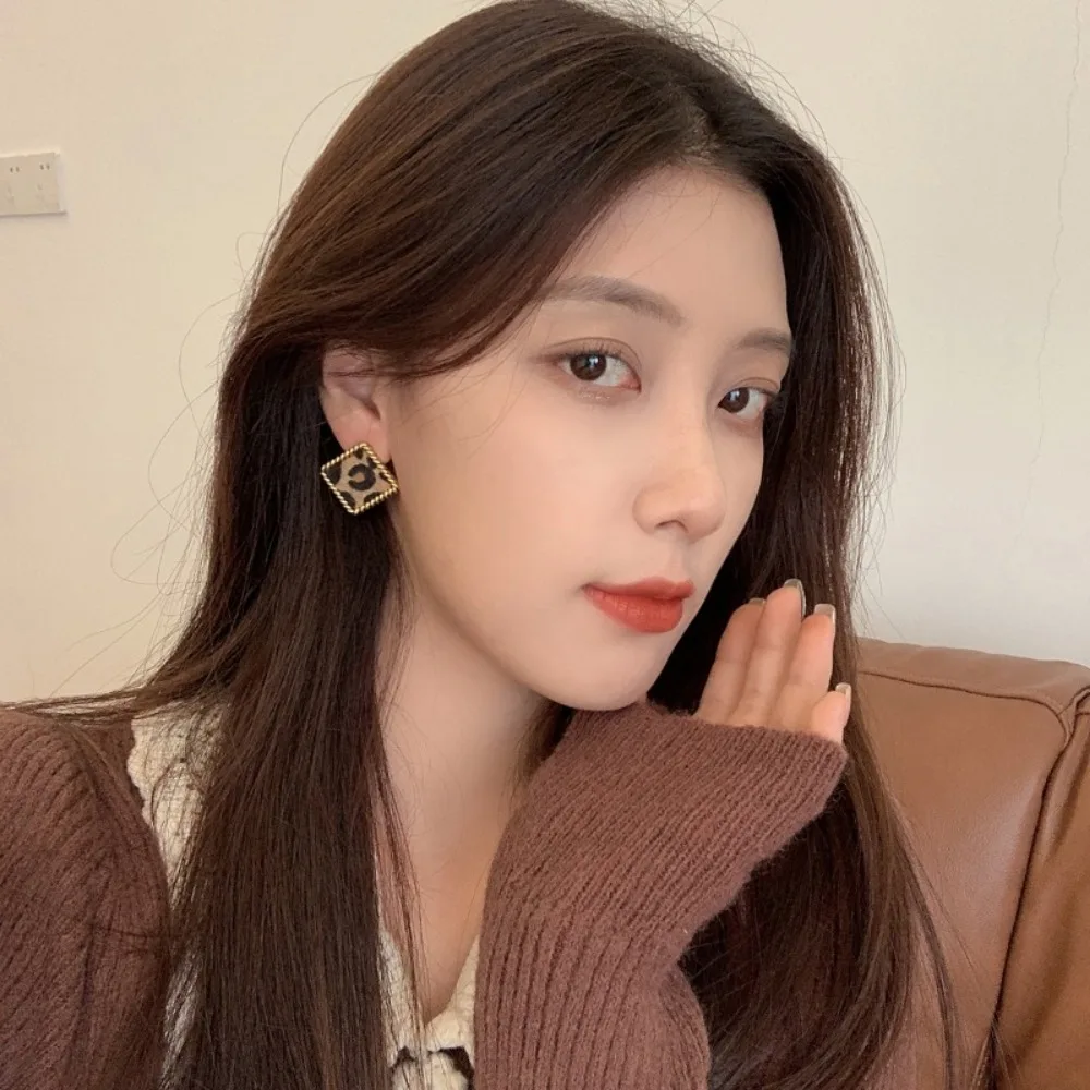 Korean Style Autumn and Winter Leopard Simple Pattern Plush Earrings Feminine Fashion Cold Style Retro Earrings Jewelry