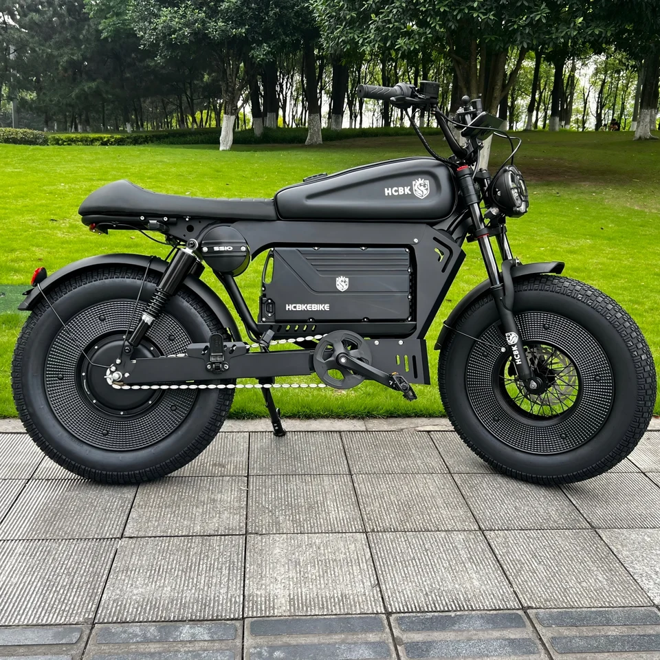 -SS10 20 Inch 3000W Rear Hub Motor US Black Warrior Ebike 30AH/60AH Lithium Battery 140KM Electric Off-road Mountain Bike image 6