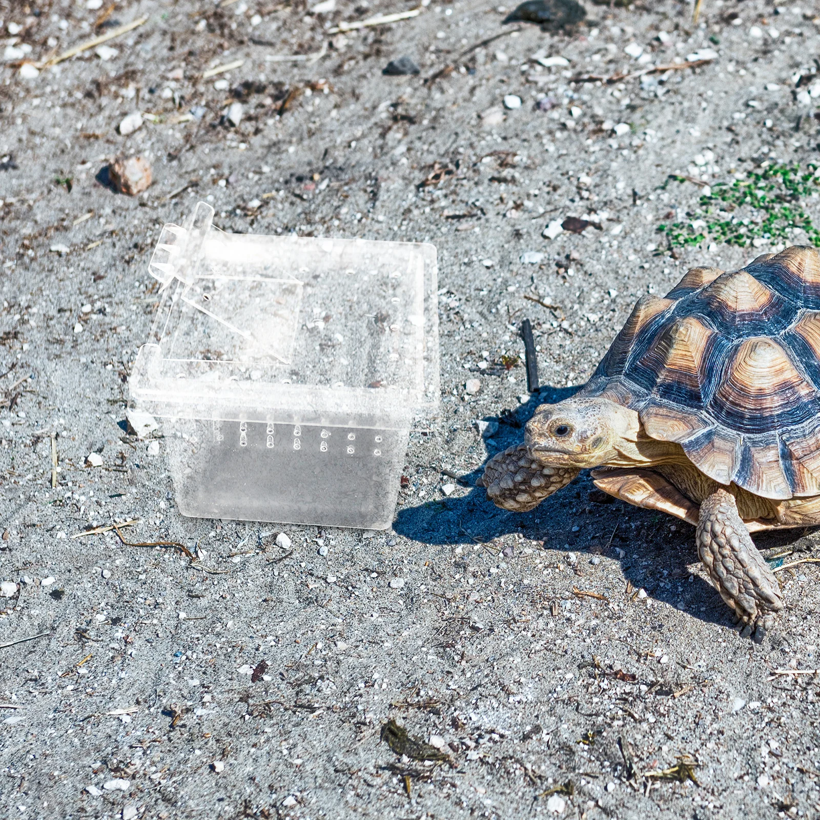 

30Pcs Reptile Terrarium Habitat with Basking Platform Clear Viewing Window for Gecko Turtle Insect Breeding Box Animal Cage
