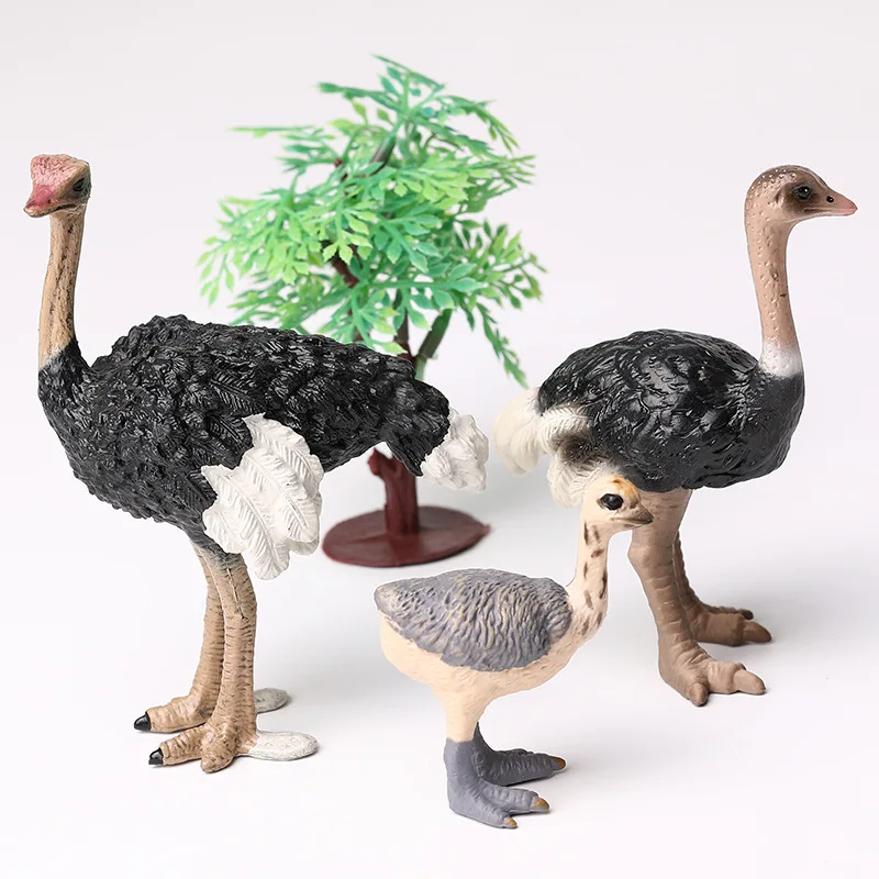 Simulation Figurines Animals Model Action Figures Collection Toys Ostrich Teaching Animal Model Photography Prop Crafts 3pc/set