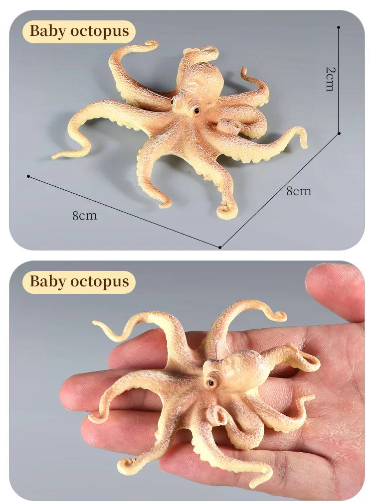 Pädagogische Marine Molluscs ModelToys – Simulation Tintenfisch Oktopus Wachstumszyklus Actionfigur für Kinder Sealife Animal Collection – Detail 5