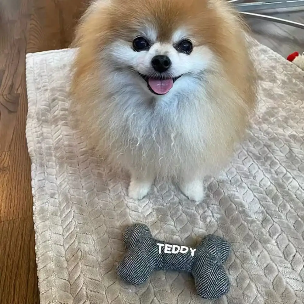 Personalized Dog Toy with Name, Puppy Chewing, Bite Accessory, Custom Pet Bone Toy, DIY Name, Pet Gift