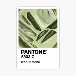 Pantone Iced Matcha  10PCS Stickers for Stickers Cute Background Bumper Car Wall Decor  Water Bottles Room Print Living Room