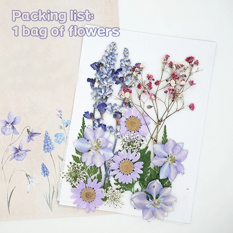 Real Pressed Dried Flower Dry Plant Stickers for DIY Phone Case Epoxy Resin Filling Pendant Jewelry Making Craft DIY Accessories