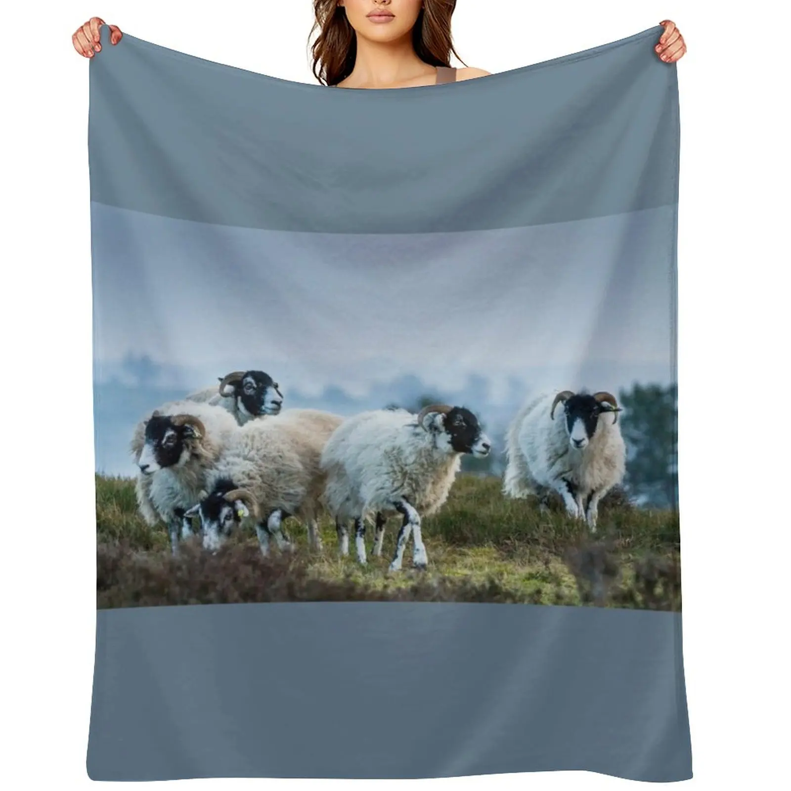 

Swaledale Sheep on Stanton Moor Throw Blanket bed plaid Luxury Thicken manga Soft Beds Blankets