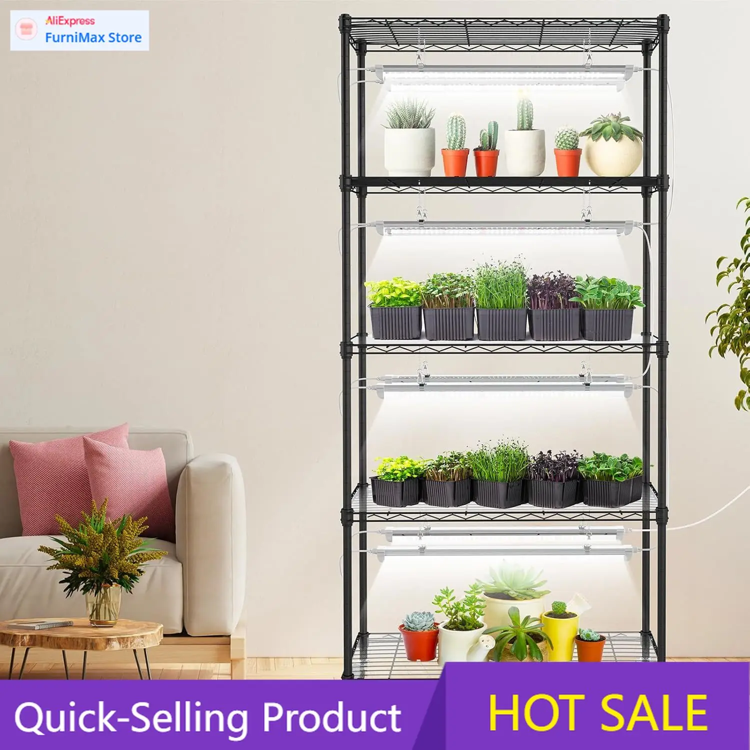 Limited-Time Promot…