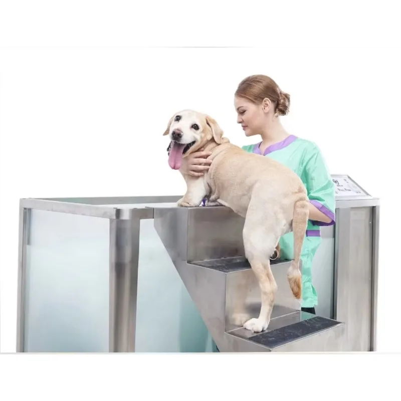 2026 Deep Professional Dog Spa Tub TS-150/151: Pet Massage Therapeutic Bathtub with Micro Bubble & Stairs for Pet Supplies
