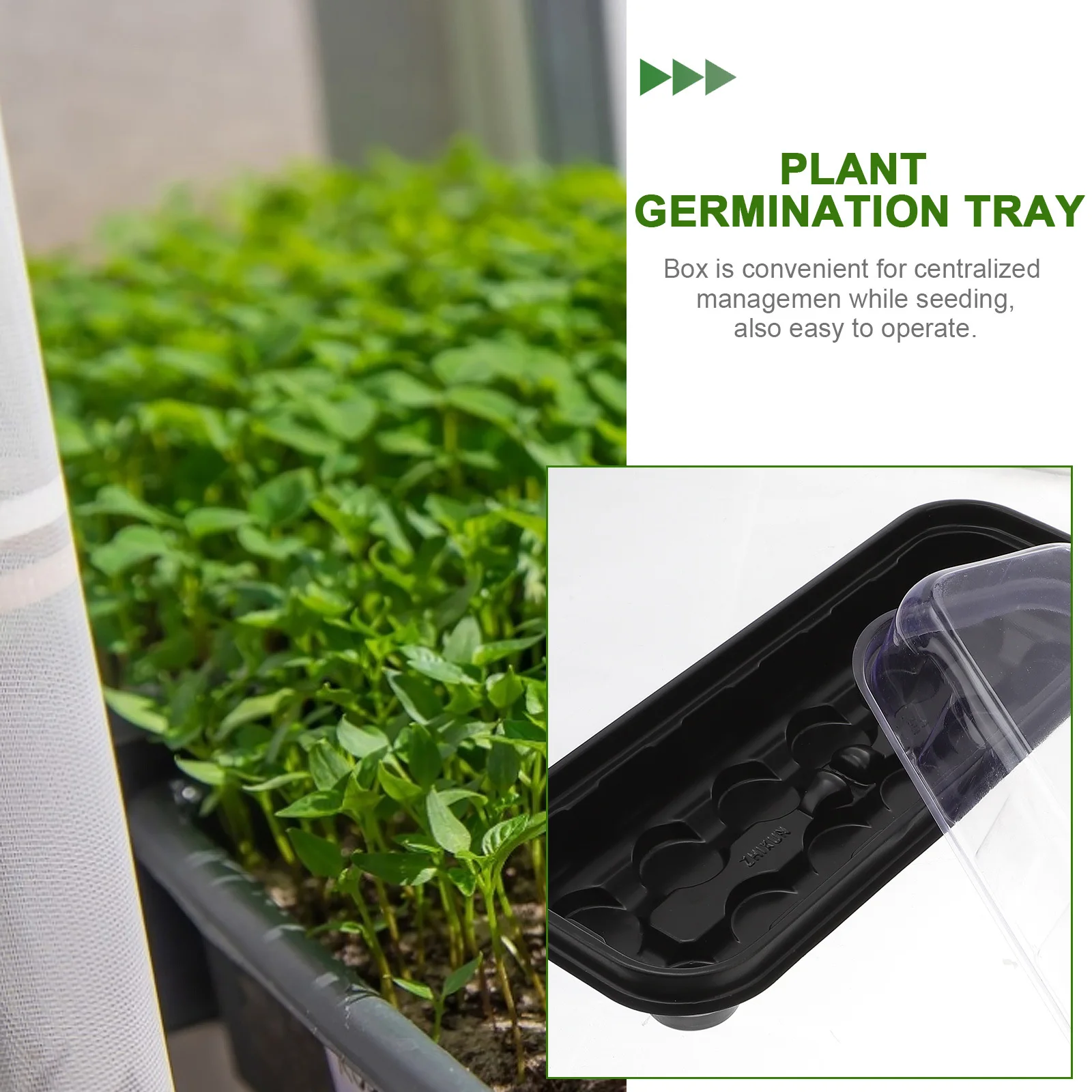 

4Sets Plant Germination Tray Sturdy Plastic Seedling Box Transparent Lid Stackable Nursery Pot Growing Use Plant Nursery Pot