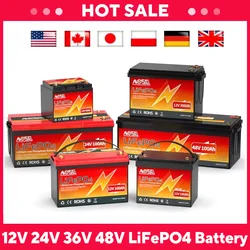 6Ah 10Ah 12Ah 20Ah 30Ah 12V 100Ah LiFePO4 Batteria BMS 200Ah 300Ah Batteria ricaricabile al litio ferro fosfato Bateria