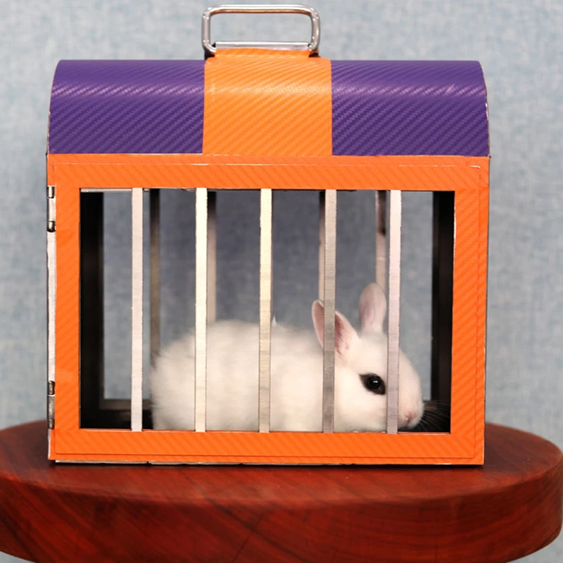 Dove to Rabbit Magic Tricks Dove Vanishes and Rabbit Appearing in the Cage Visual Change Stage Illusions Gimmicks Prop
