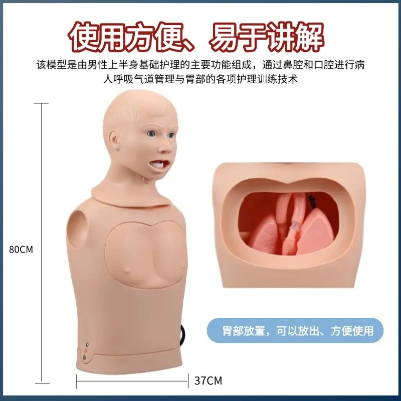 Nasogastric tube and trachea care model Nasogastric feeding tube Mold incision and sputum suction training Tracheal intubation,