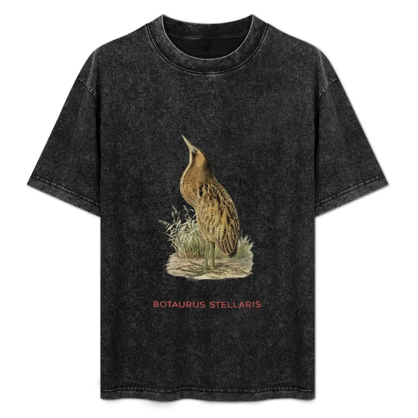 Great bittern or Botaurus Stellaris T-Shirt oversized graphic tee new edition mens graphic t-shirts big and tall