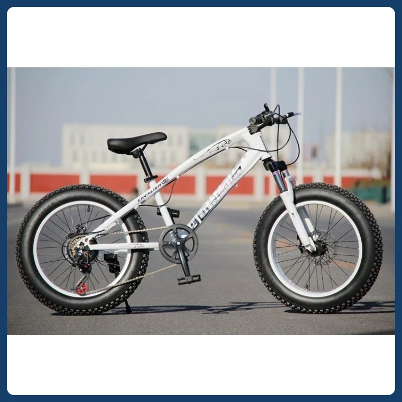 

20-дюймовый горный велосипед, амортизация, двойной дисковый тормоз, амортизация 4,0, расширенная большая шина, пляж