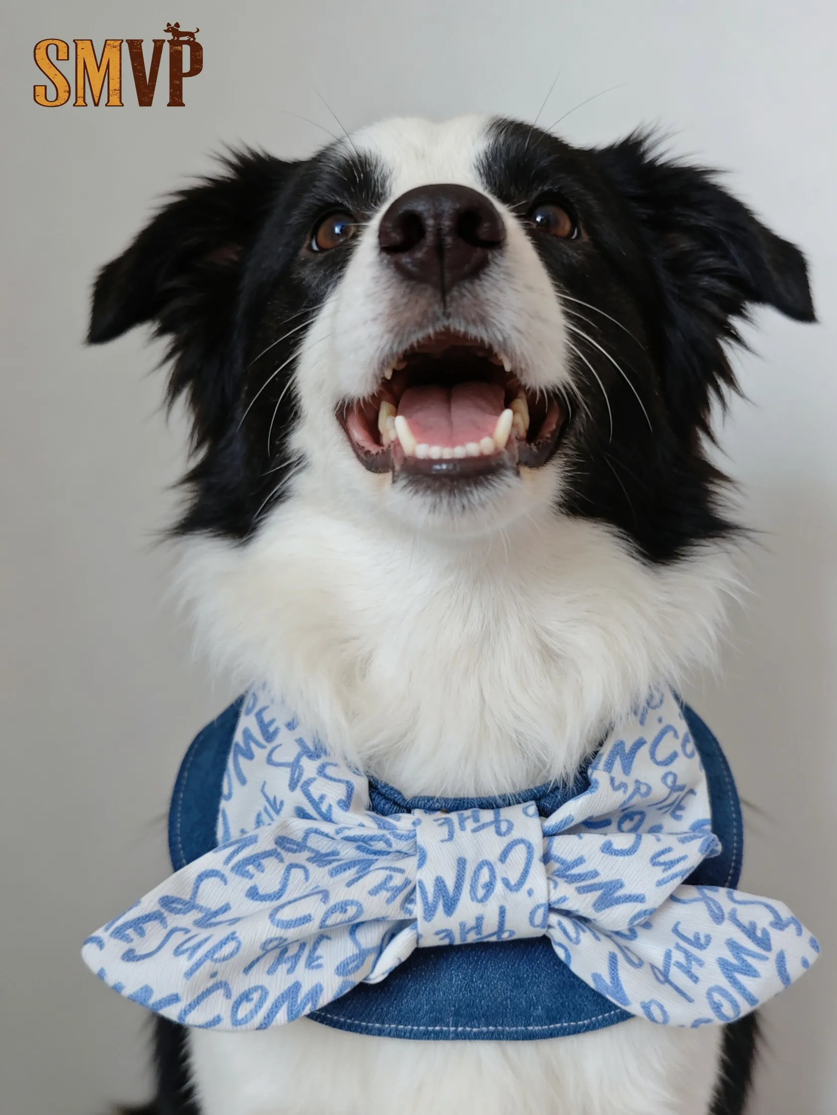 

Spring and Summer Light and Breathable Imitation Denim Letter Printing Big Bow Korean Cute Style Pet Kitten Puppy Bib