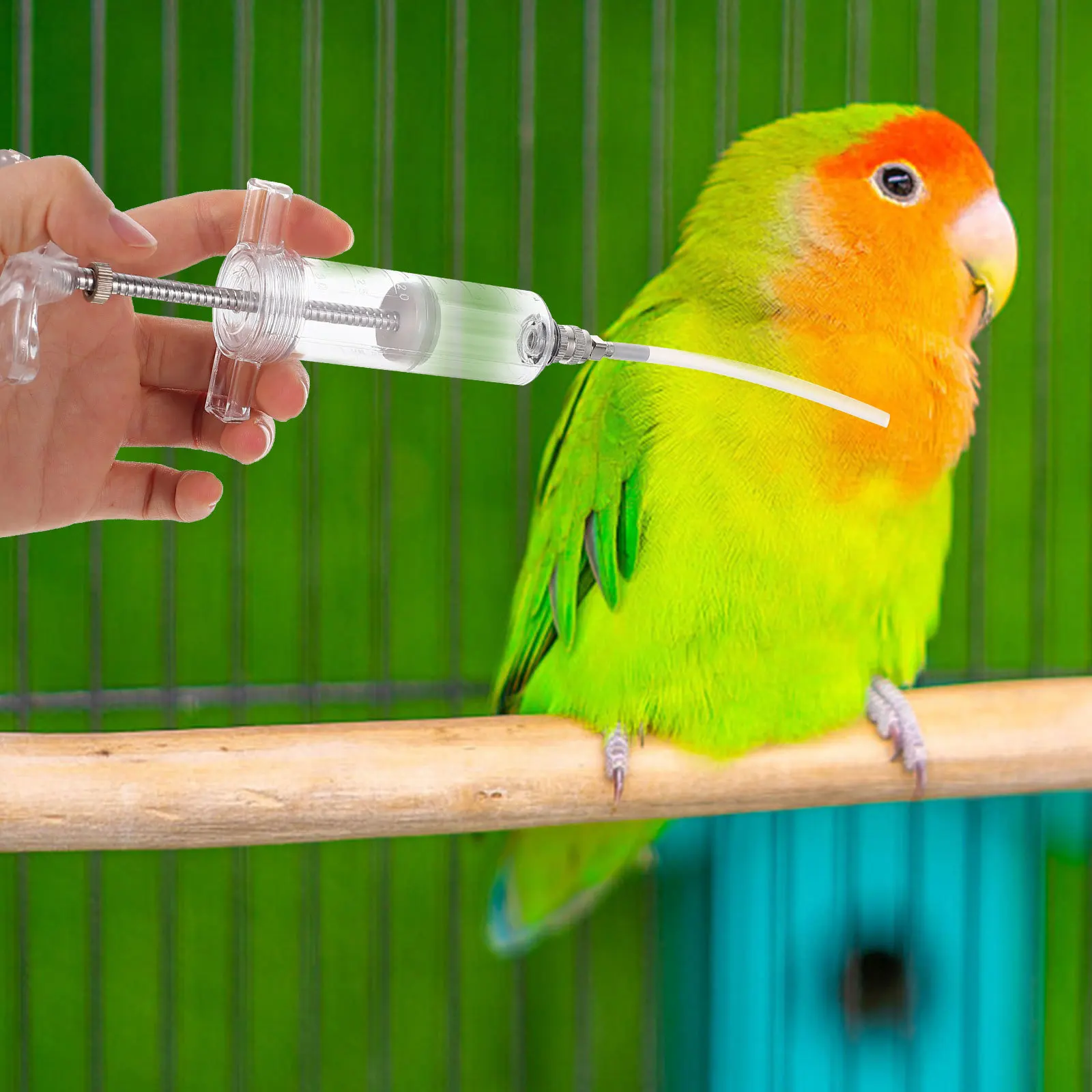 1 مجموعة طفل الطيور تغذية كيت مقياس دقيق أنبوب تغذية اليد للببغاوات الببغاوات كوكاتيل الحليب السائل المغذية #4