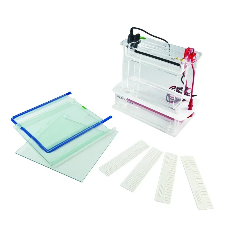 Sistema de tanque de eletroforese vertical SSR rápido