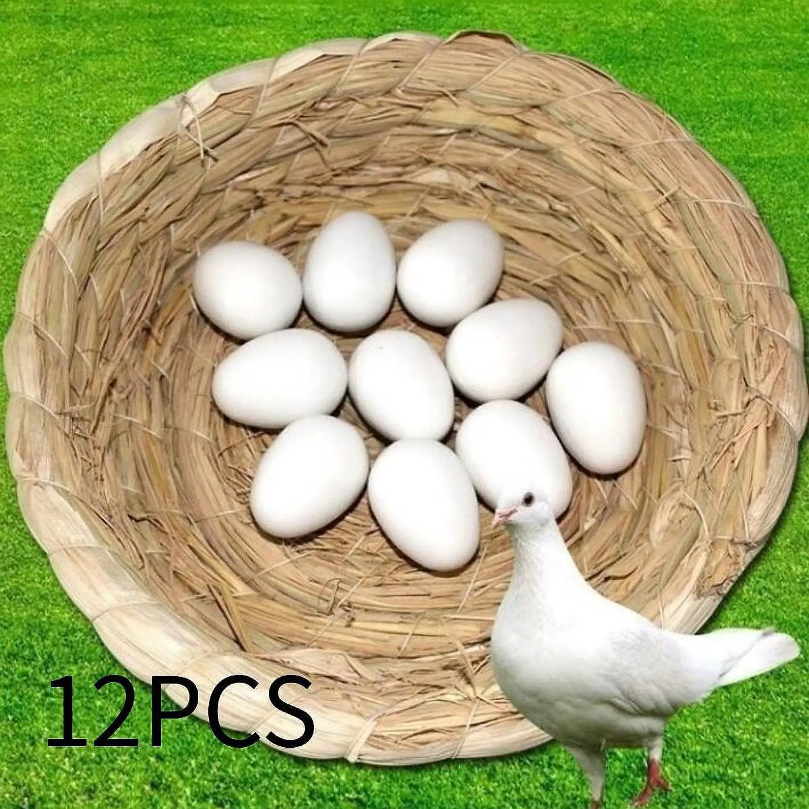 Huevos de simulación plástico sólido para incubar y entrenar palomas - imagen 2
