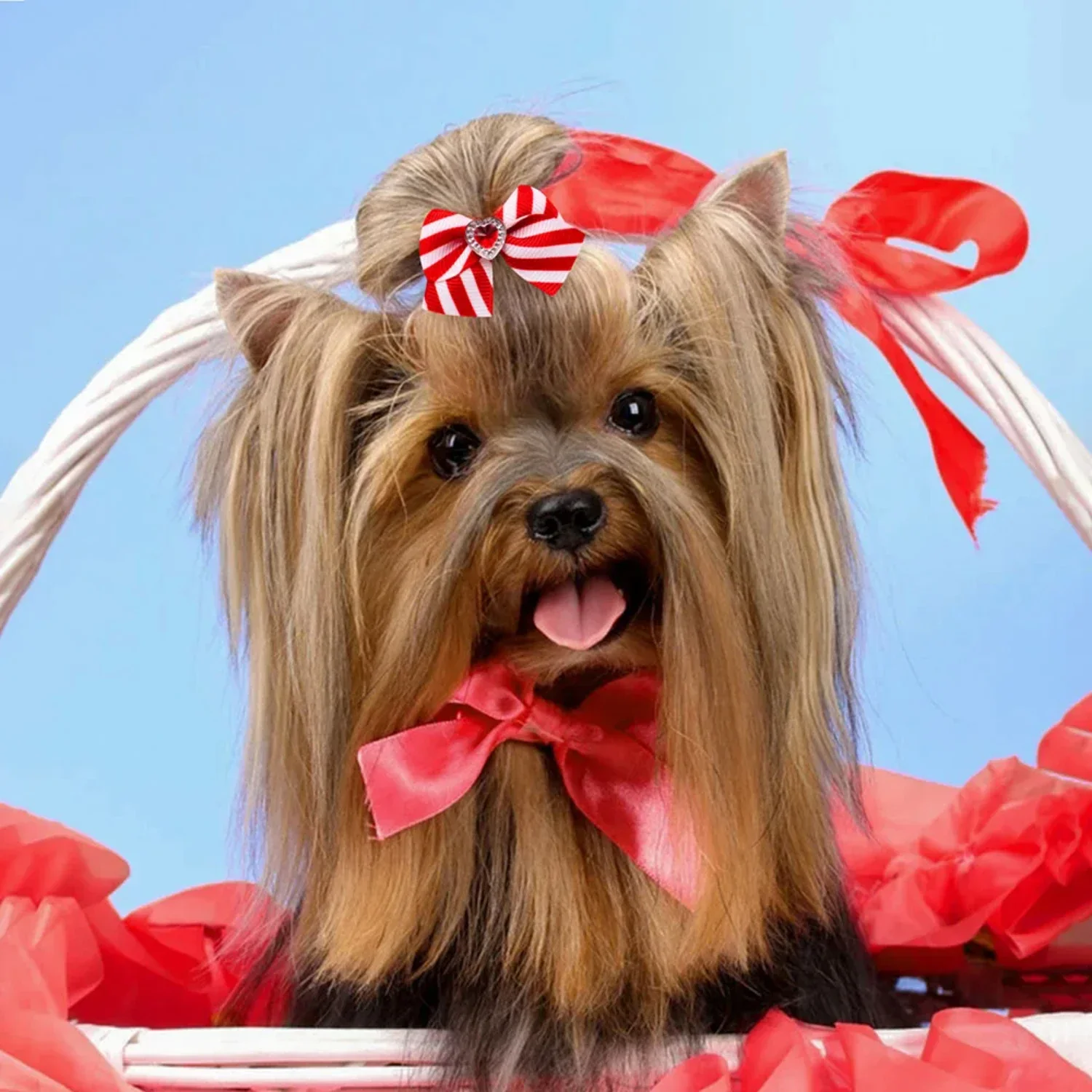 Lovely and charming red and pink adorable dog bows - stylish pet accessories for Valentine's Day adding sweetness to your furry