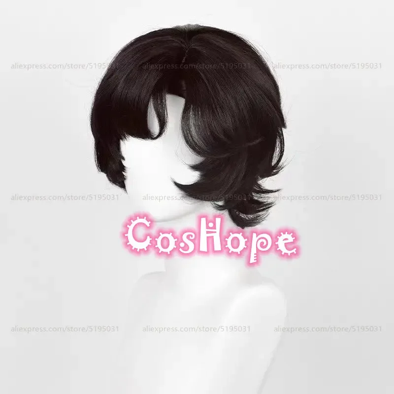 Schneider Cosplay Wig 30cm Short Curly Black Wig Cosplay Anime Cosplay Wigs Heat Resistant Synthetic Wigs