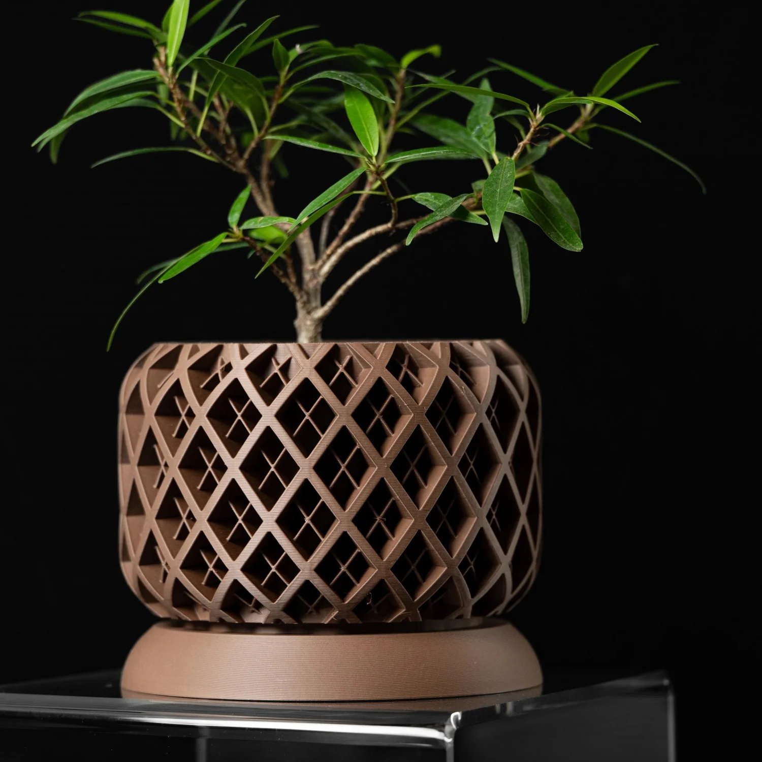 

Modern Minimalist 3D Printed Plant Pot – Biodegradable Flower Planter for Home Decor, Eco-Friendly Sustainable Gift (Torio)