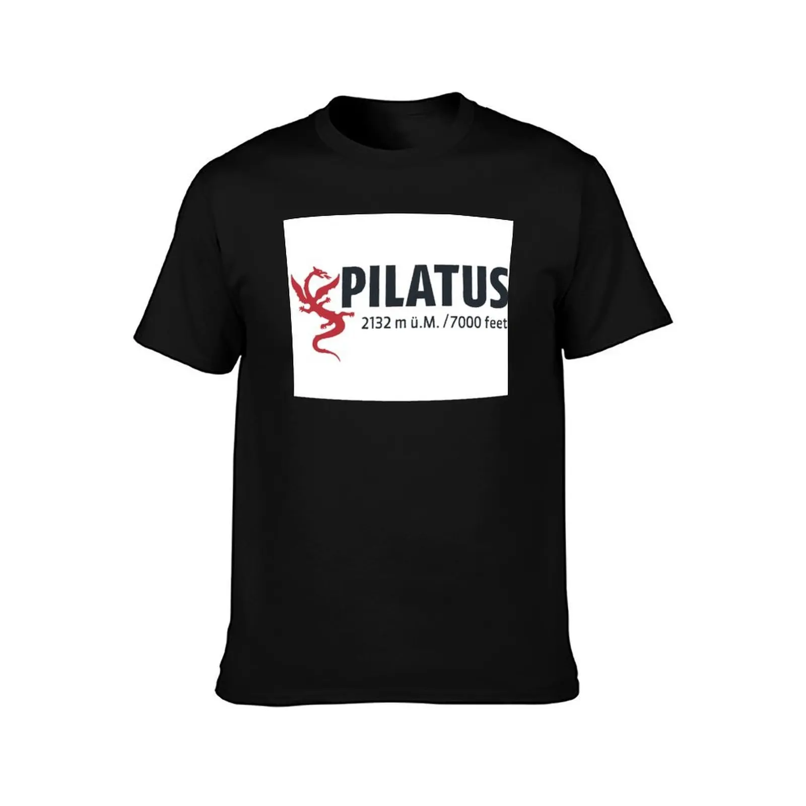 Pilatus, Swiss Alps T-Shirt, Summer Casual Cotton Tee, Oversized Streetwear Tops, Vintage Graphic Print, Loose Fit Short Sleeve