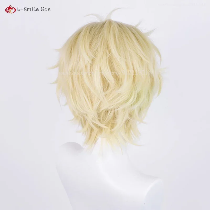 Sally Sousuke anime cosplay parrucca 30cm light golden cruly parrucche da uomo resistente al calore parrucca sintetica per capelli