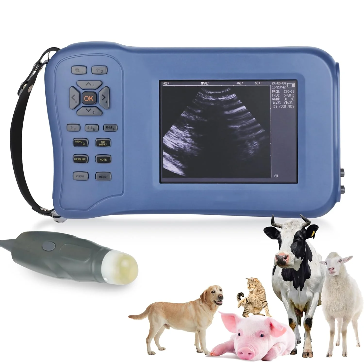 

Multi Functional Veterinary Machines Cheap Veterinary Portable Ultrasound for Scanning