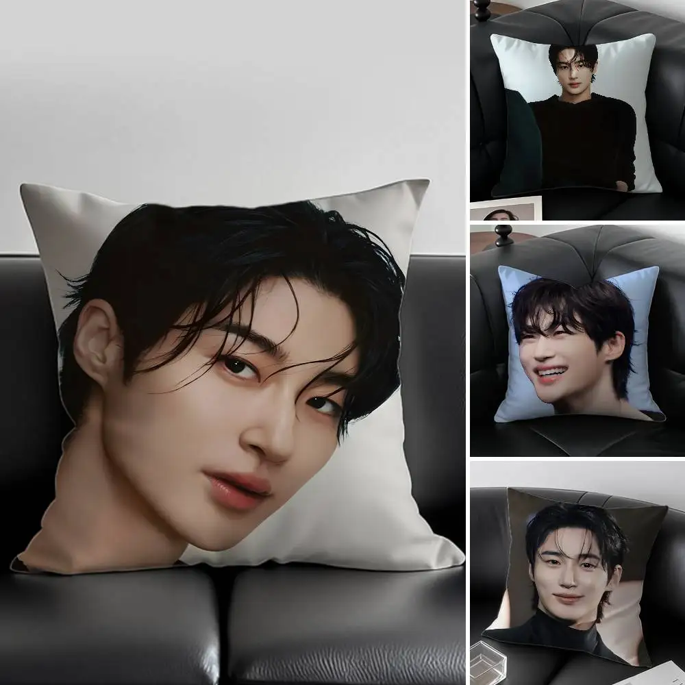 الممثلون والنماذج B-Byeon W-Wooseok كيس وسادة مكافحة الغبار المخدة غير مرئية سستة حريري قصير أفخم غطاء وسادة أريكة