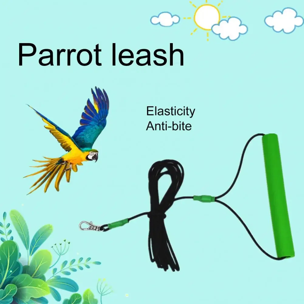 2-6M Anti-bite Flying Training Rope Parrot Bird Outdoor Flying Traveling Elastic Walking Rope Portable Pet Bird Harness Strap