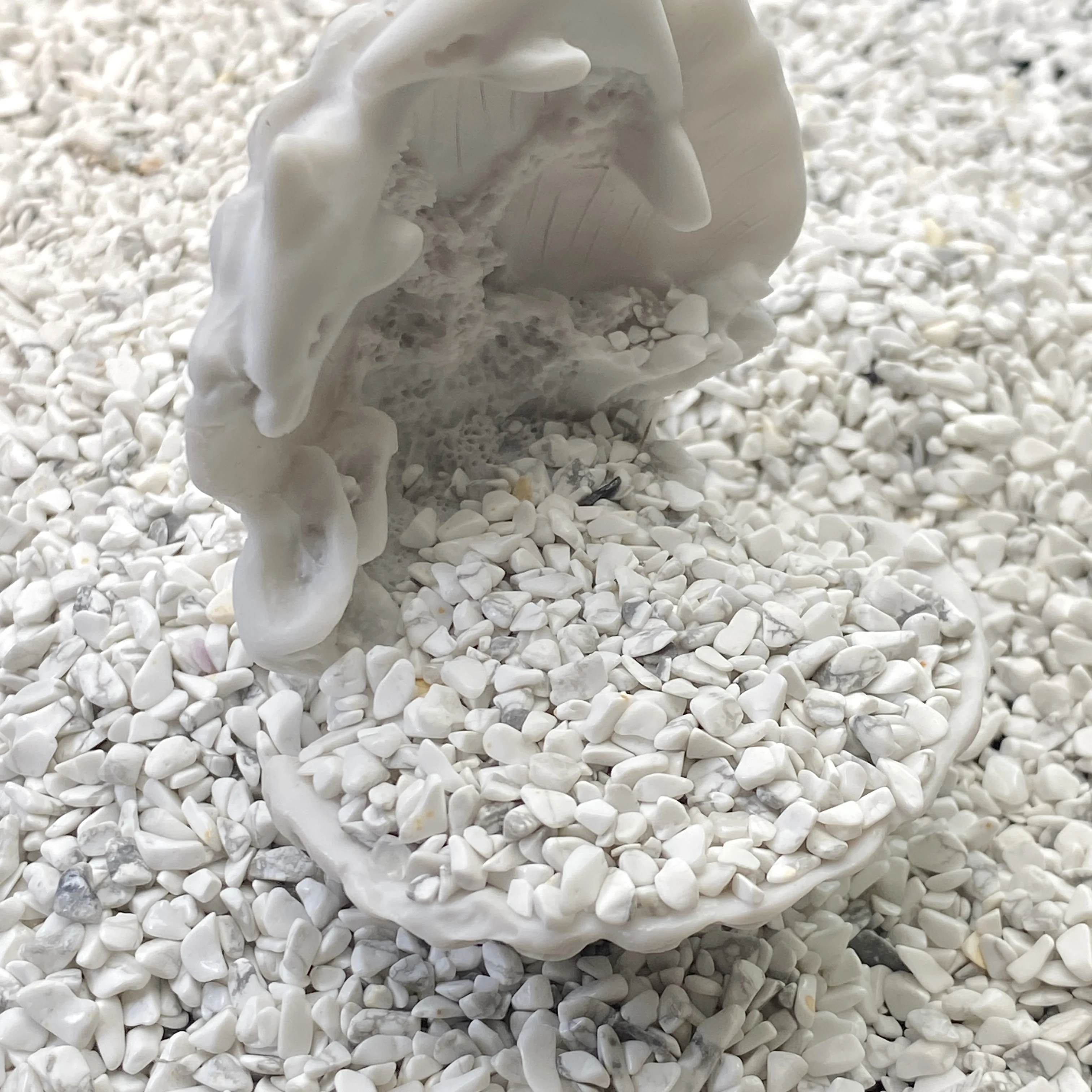 Random 50g/100g High Quality Natural Howlite Gravel,Men Gift,Women Gift,Scene Decoration,Table Decoration.