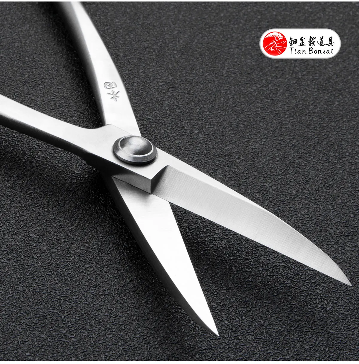Material-Upgrade: Professionelle 210 mm lange Schere aus 5Cr15MoV-Legierungsstahl, Bonsai-Werkzeuge von TianBonsai – Detail 7