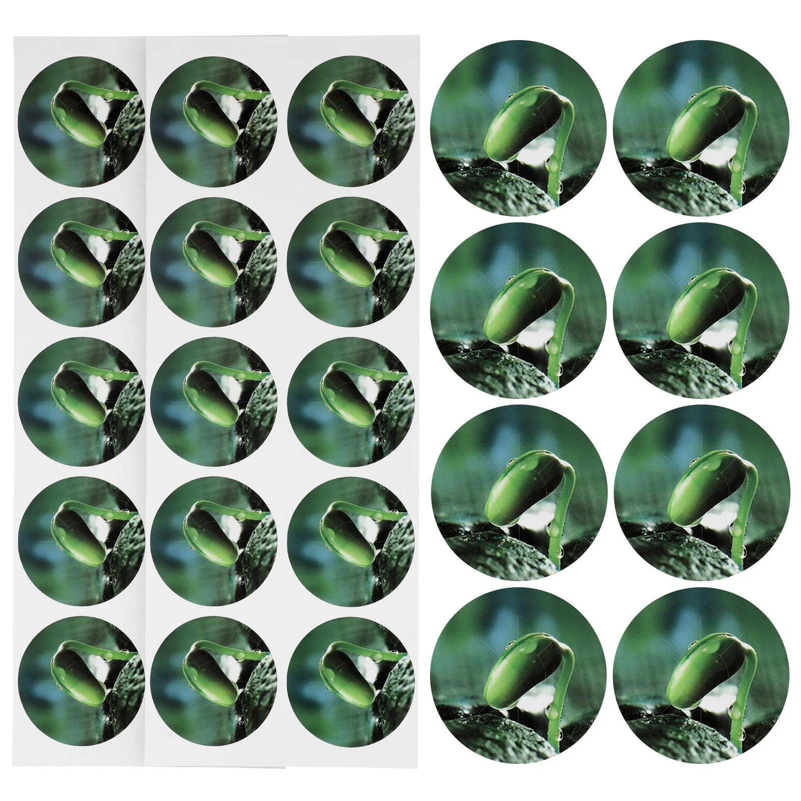 ملصقات وعاء البذور البلاستيكية المتينة المقاومة للماء 5 أوراق سهلة العصا ملصقات بمناسبة النباتات أدوات البستنة المائية وعاء البذور ملصقات PVC