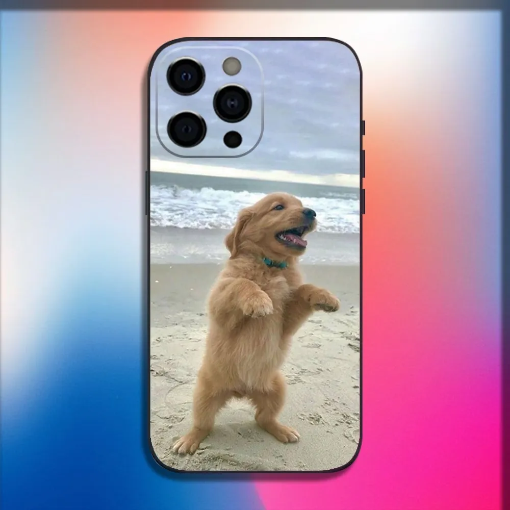 Golden Retriever Dog Pet Phone Case For iPhone 16,15,14,13,12,11,Pro,X,XS,Max,XR,Plus,Mini Soft Black Cover